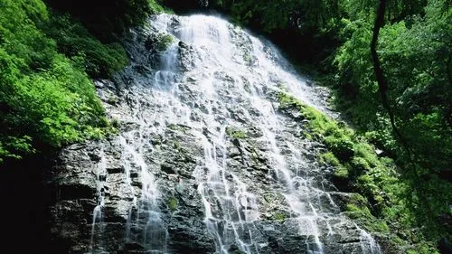 智能绿色